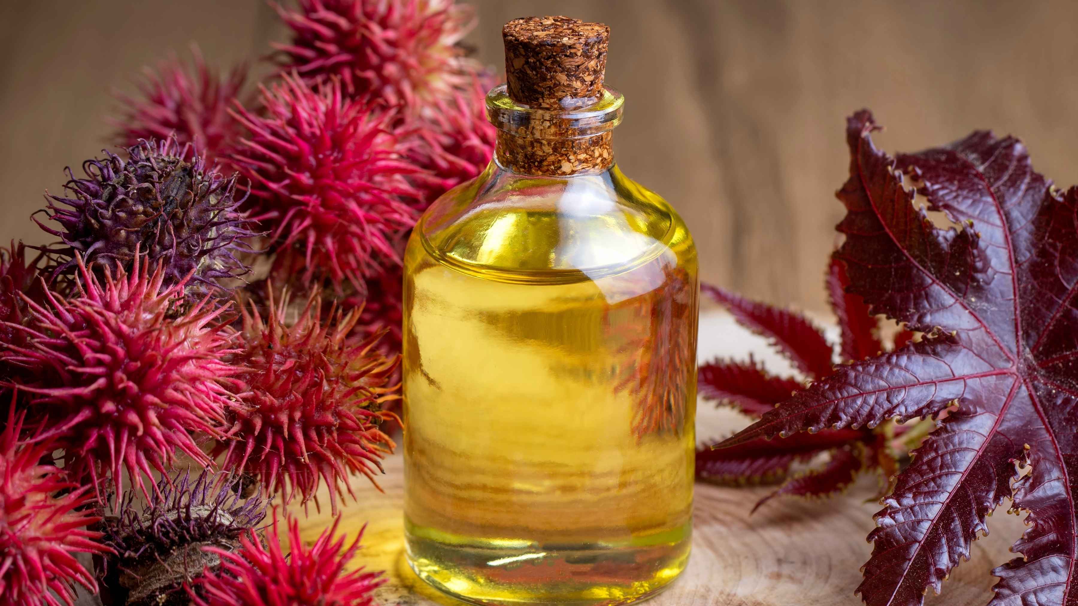 Castor oil benefits for hair