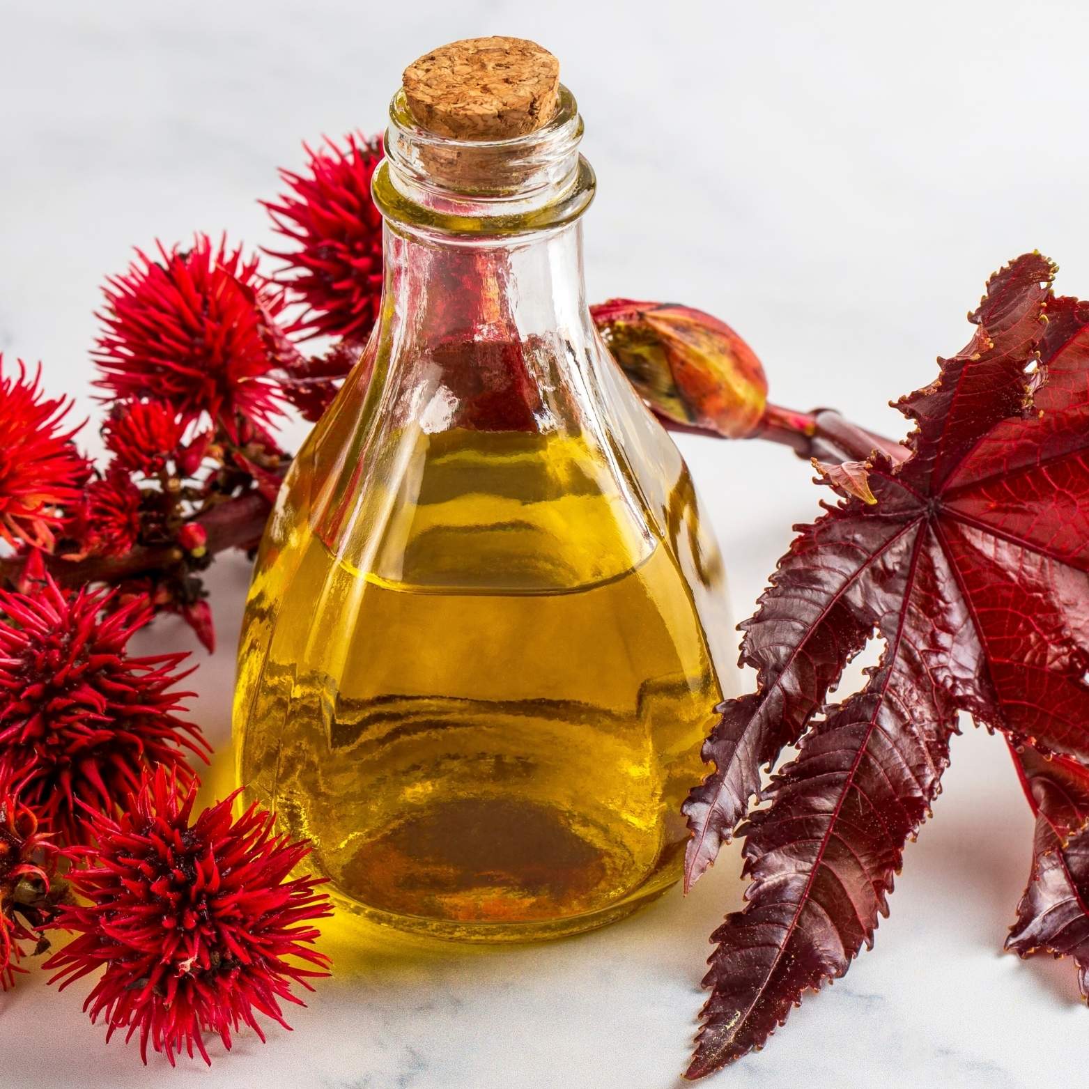 Castor Oil for Hair: Benefits, Uses & Tips to Boost Hair Growth Naturally