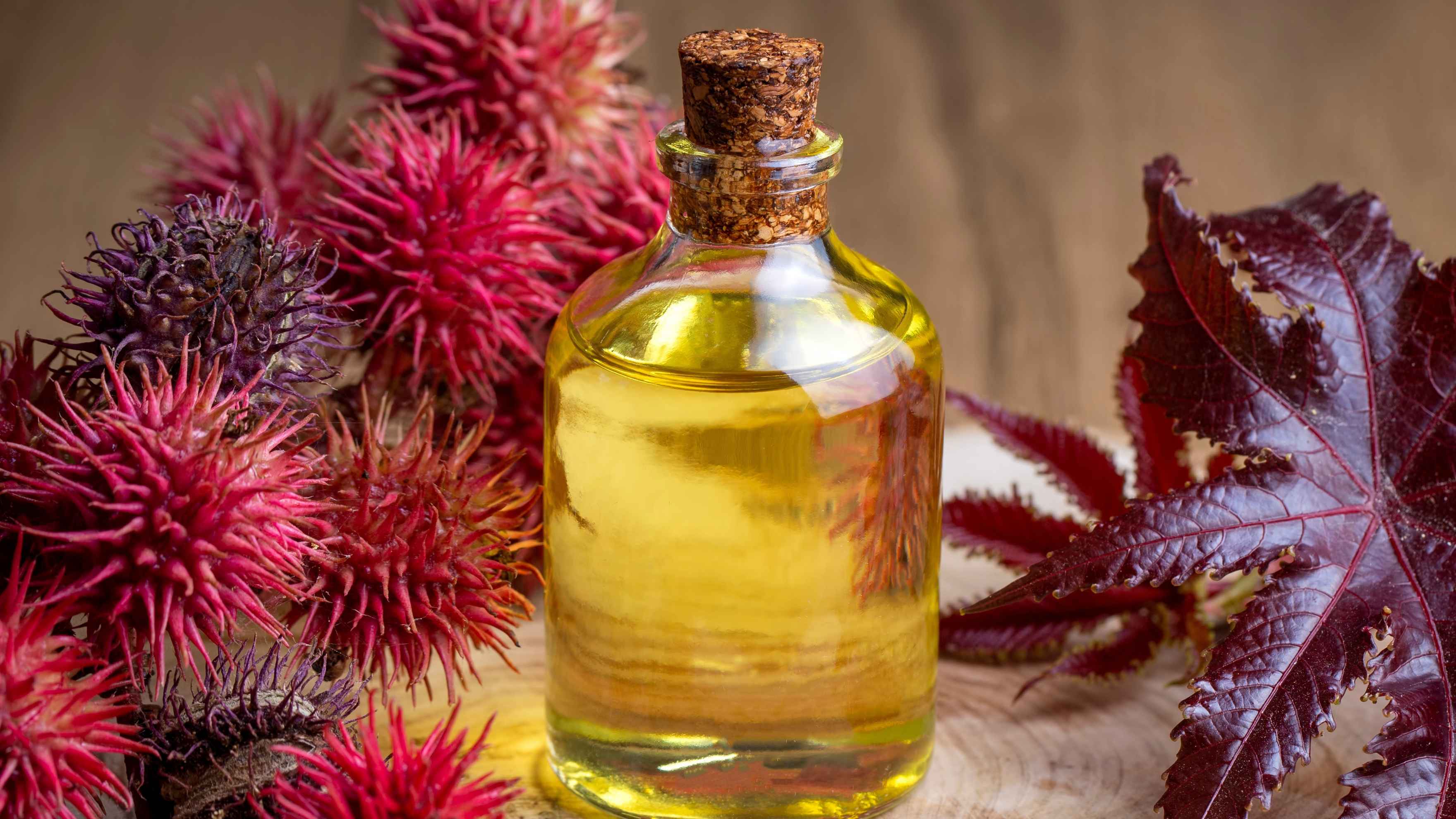 Castor Oil