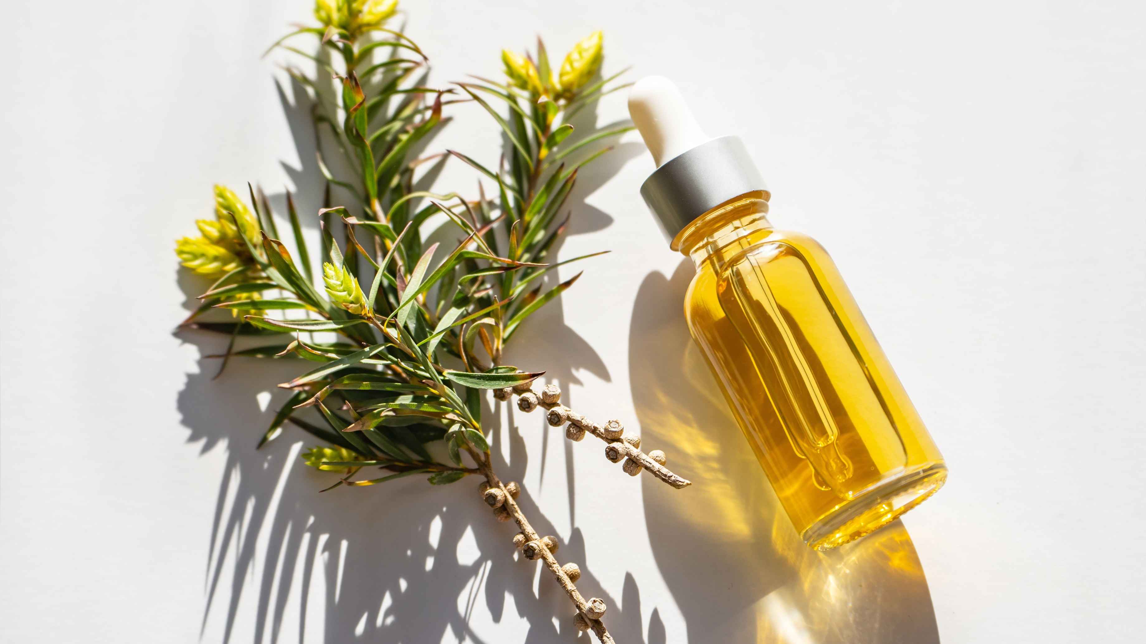 Tea Tree Oil