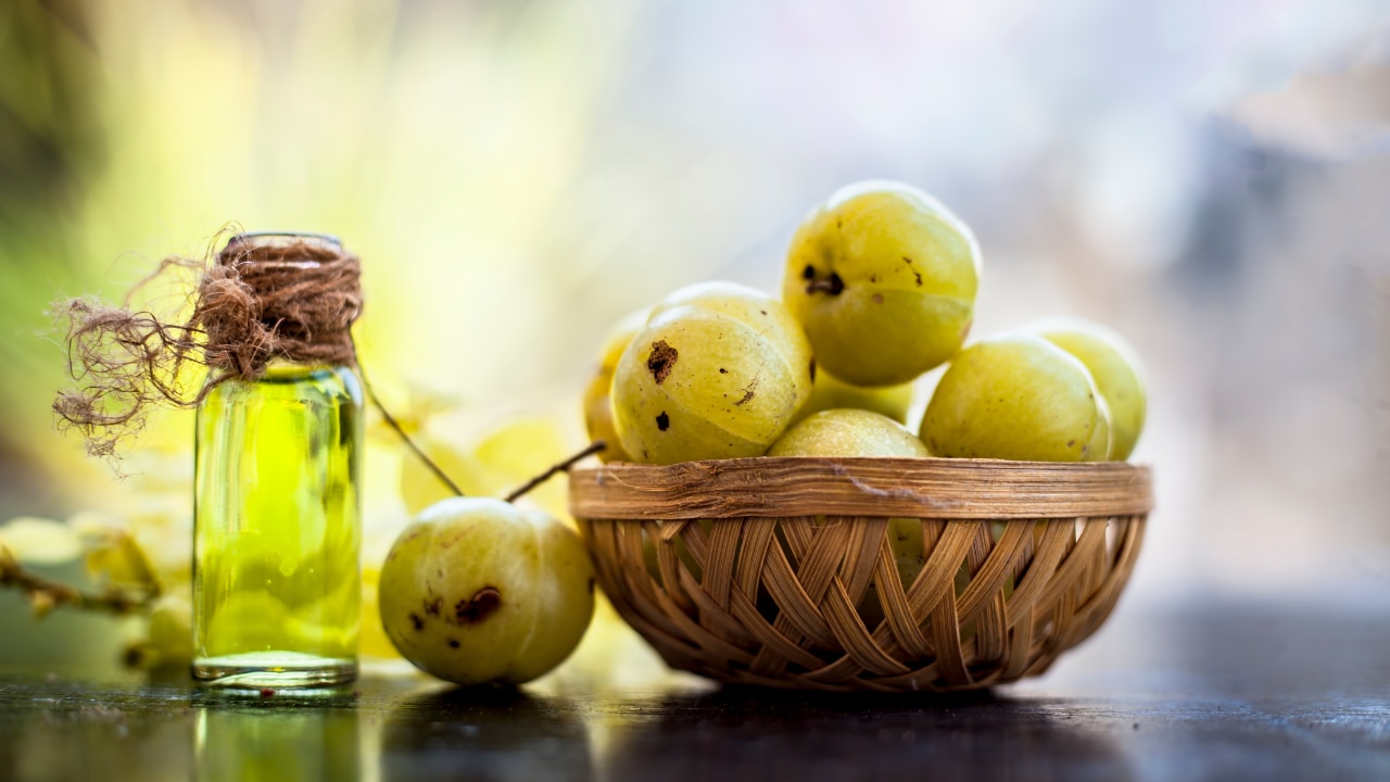 Amla (Indian Gooseberry) 