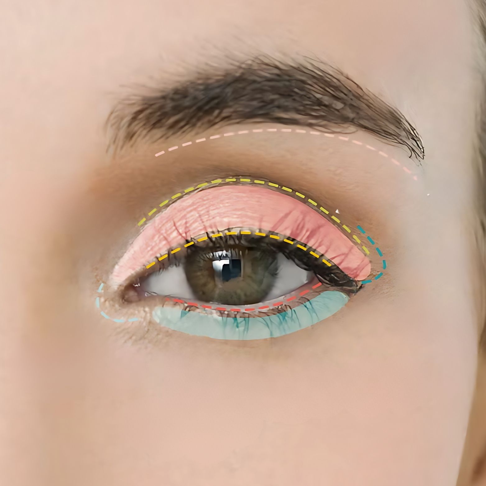 How to Apply Eyeshadow : Step-by-Step Tutorials for Every Eye Makeup Look