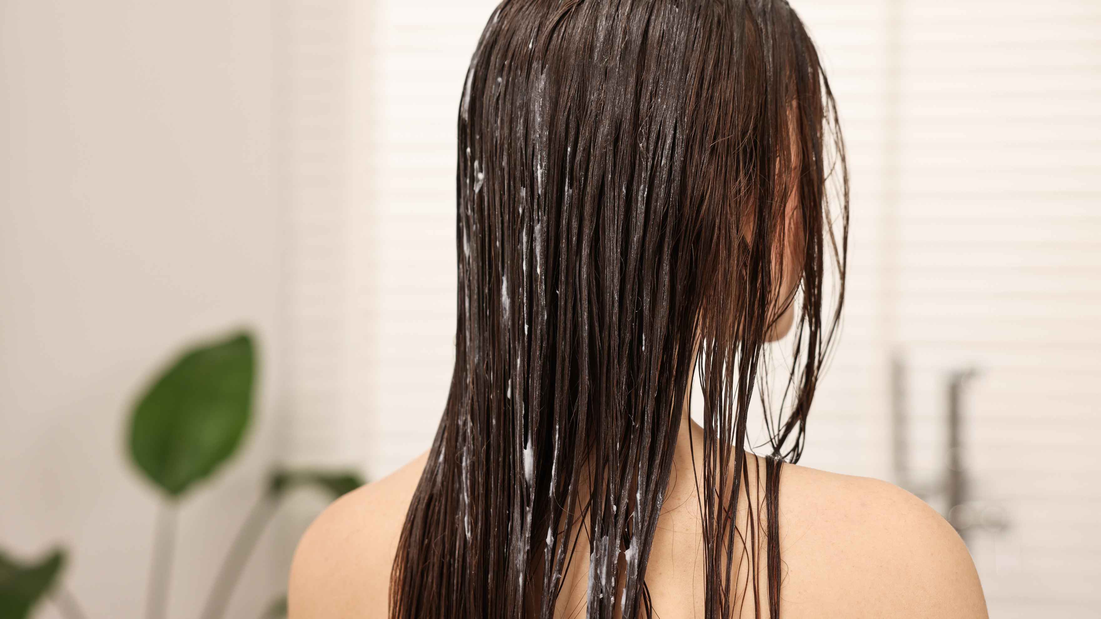 Who Should Use Chia Seeds & How Often