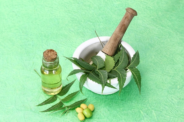 05. তিসি 05. তিসি