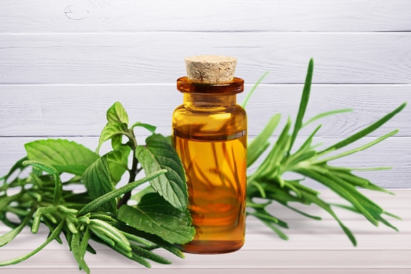 Tea tree oil for heat pimples