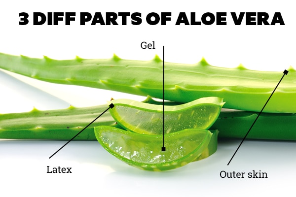 What Happens When Aloe Vera is Consumed Orally?