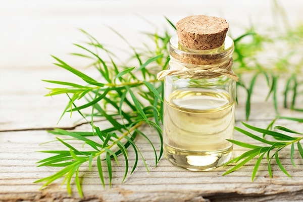 FAQs about tea tree oil uses for skin and hair FAQs about tea tree oil uses for skin and hair
