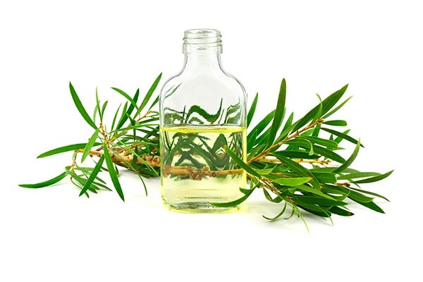 Tea tree oil for acne