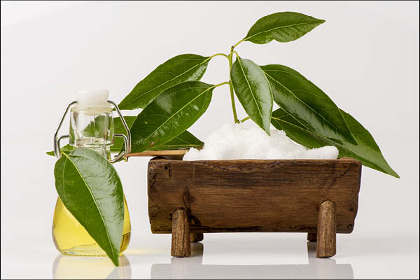 நெல்லிக்காய் + ஆலிவ் ஆயில் நெல்லிக்காய் + ஆலிவ் ஆயில்