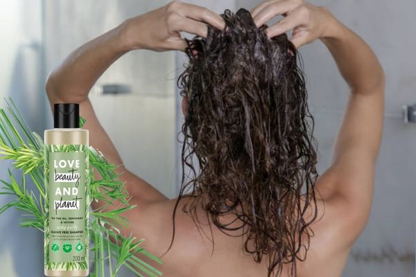 The Best Shampoos for Oily Hair | The Top 6 woman Love Beauty and Planet