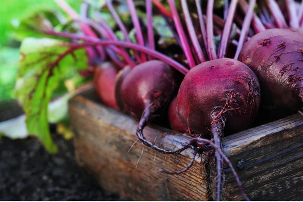 FAQs about beetroot for skincare