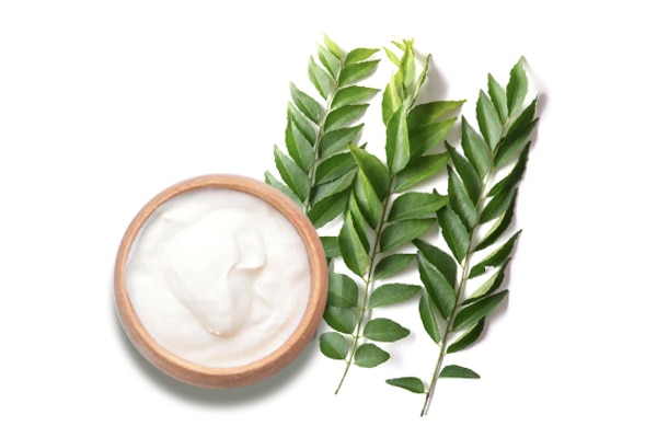 benefits of using curd in your hair benefits of using curd in your hair