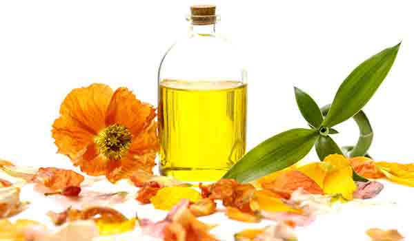 त्वचा के लिए बहुत फ़ायदेमंद है कमीलिया ऑइल