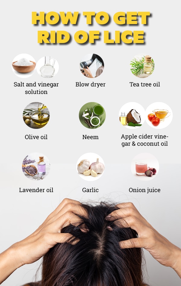 9 Home Remedies For How To Get Rid of Head Lice