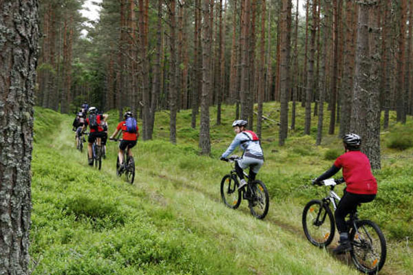 Mountain Biking in Sikkim