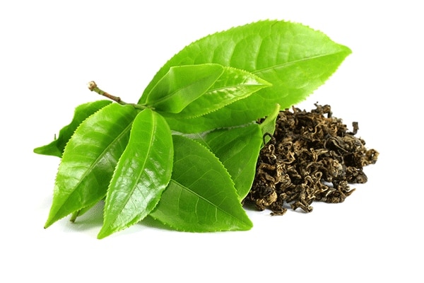 பால் கிரீம் பால் கிரீம்