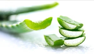 10 DIY Aloe Vera Based Face Packs For Glowing Skin