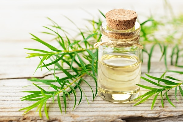 Coconut oil Coconut oil